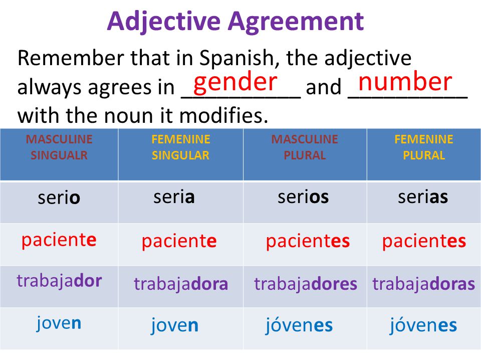 Spanish Adjective Agreement with People YouTube