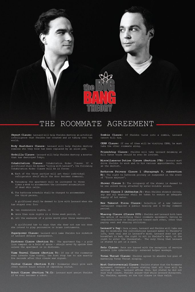 the roommate agreement big bang theory | BAZINGA !!!!! | Pinterest 