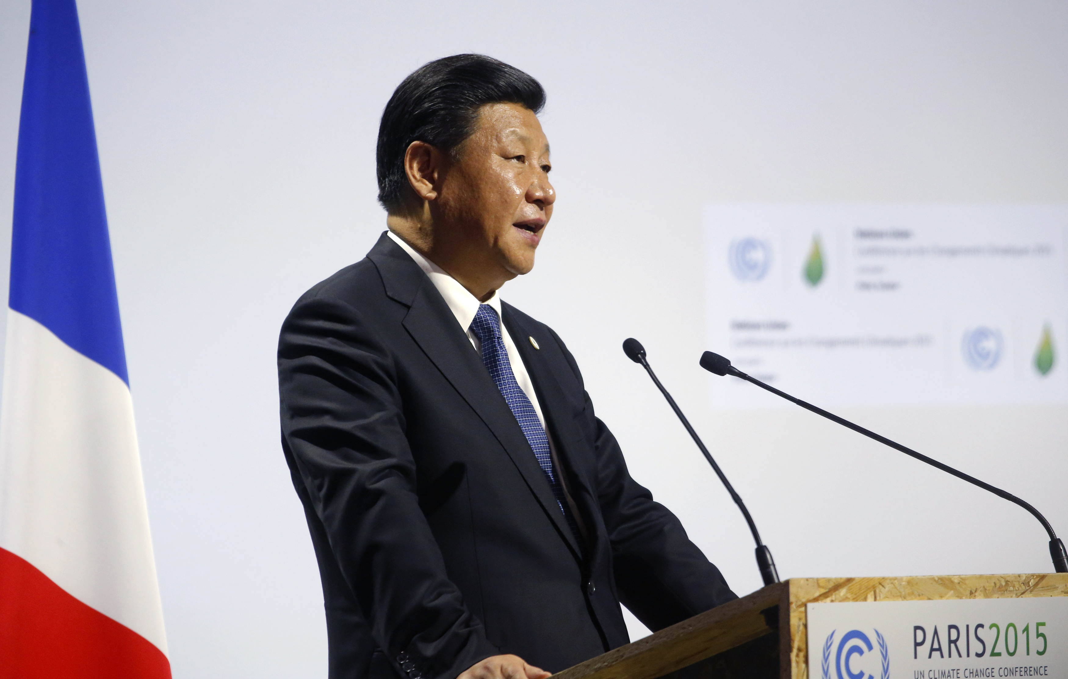 China's 'yes' to new role in climate battle