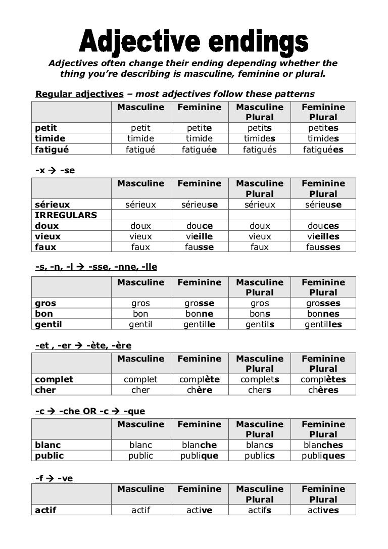 Quiz & Worksheet French Adjective Agreement | Study.com