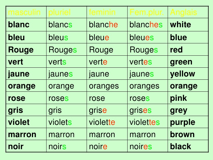 IRREGULAR ADJECTIVE AGREEMENT (FRENCH) by LanguagePlan it | TpT