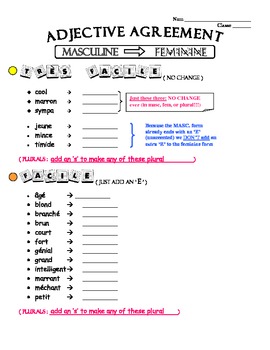 French Adjective Agreement Variations Chart by Sarah Peterson | TpT