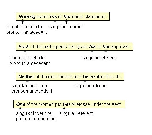 Pronoun Antecedent Agreements