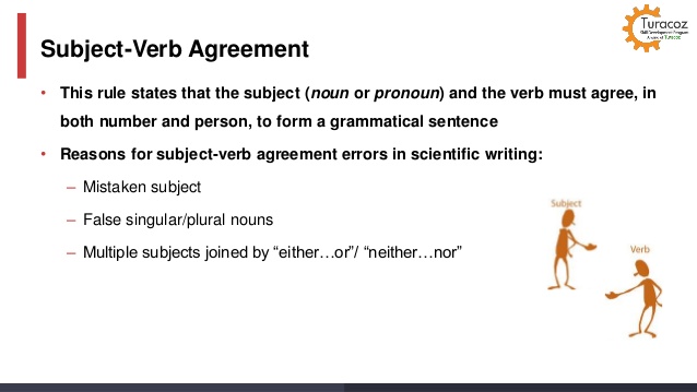 Grammer Subject Verb Agreement Rules