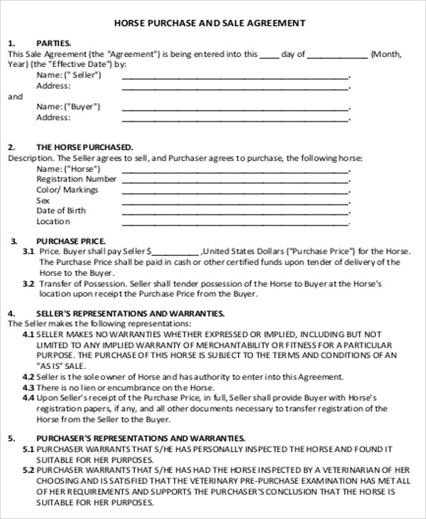 horse sale agreement template sample horse sales contract 5 